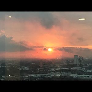 Meet your Posher, Jane